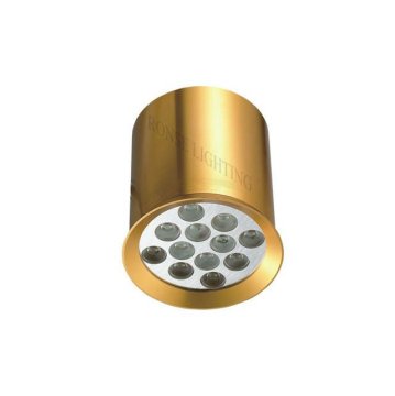 新しいスタイルがライトダウン12W（RS-2607）