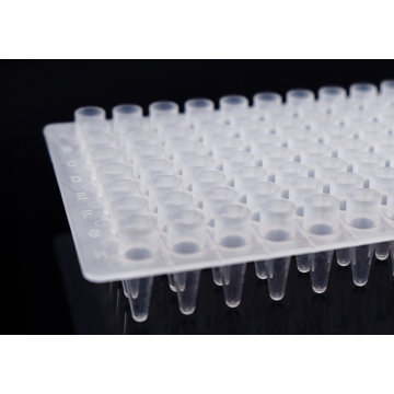 Placas de PCR de poço elevado de 96 poços 0,2ml sem saia