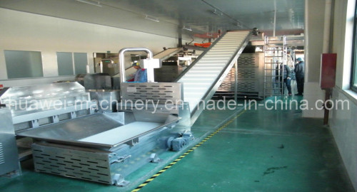 Biscuit Dough Conveyer, Dough Cutting Machine