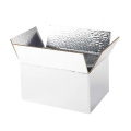 Transporte de cadena fría aislamiento de aluminio Caja corrugada