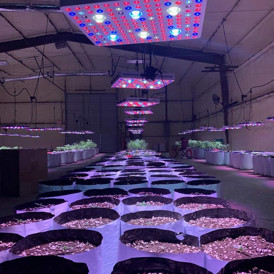 Phlizon Full Spectrum COB Led Grow Lights US