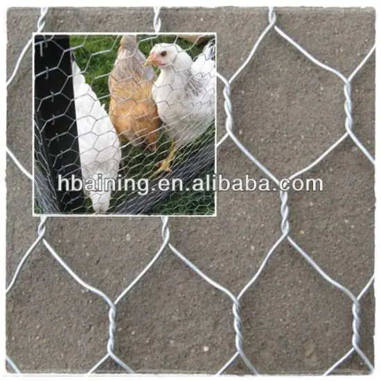 cage for chickens wire