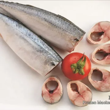 Frozen Seafood Pacific Mackerel Hgt Fish