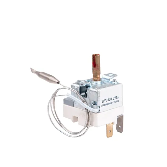 China Manufacturer Wholesale Digital Pizza Oven Thermostat Switch Control