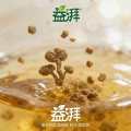 Supplements for canine fatty liver disease