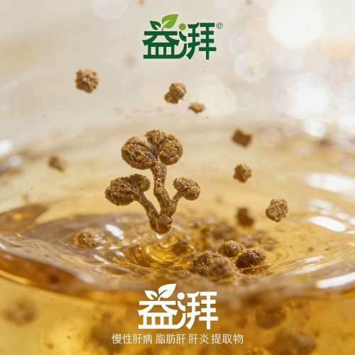 Köpek ve kedilerde yüksek ALT/AST düzeyleri için destekleyici tedavi