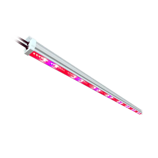 Fast Delivery LED Grow Light 30W Full Spectrum for Indoor Vertical Farming