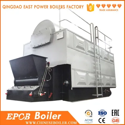 China Combi fuel Solid Fuel 6Ton Palm Shell Boiler