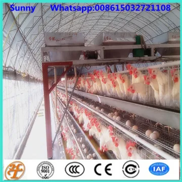 Chicken Use and Tiers Chicken Cage Type 4 tier chicken layer battery cage for tanzania poultry farm