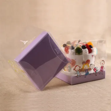 Clear plastic mini cake box