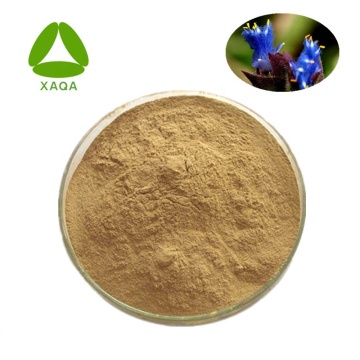 Arachnoid Cyanotis Root Extract powder Beta Ecdysone 40%