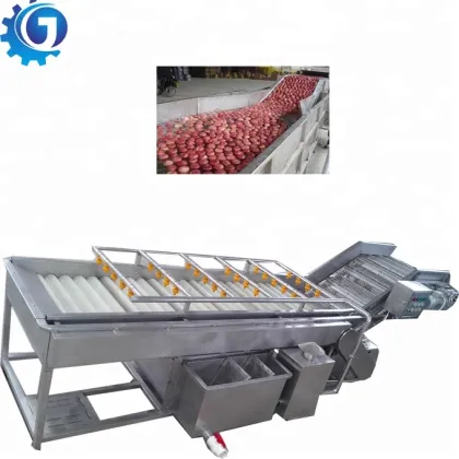Fruit and Vegetable Washing and Processing Machinery