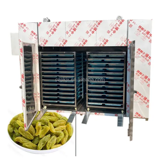 Hot Air Circulation Drying Oven for Raisins, Bananas, and Various Fruits & Leaves
