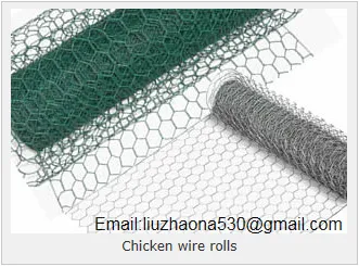 pre- hot dipped galvanized hexagonal mesh twisted mesh