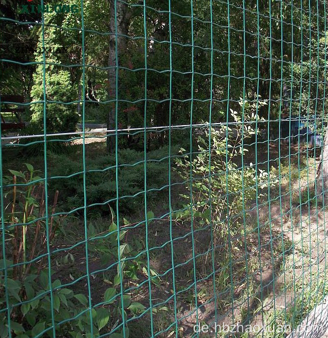 PVC beschichtetes Holland Drahtgitter mit dem Eurozaun mit geschweißtem Euro