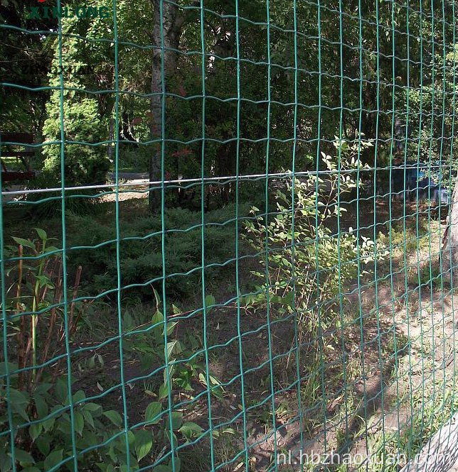 PVC gecoate Holland Wire Mesh LaDed Euro hek