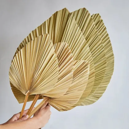 2022 Popular Tropical Dried Palm Leaves for Wedding Decorations
