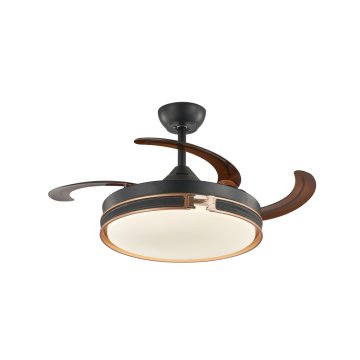 Black Ceiling Fan with Golden H Sign