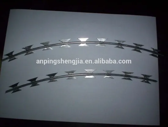 hot dipped galvanized barbed wire/razor barbed wire burglar mesh
