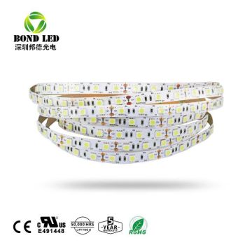 Hot Selling 10m White 12V Waterproof LED Strip