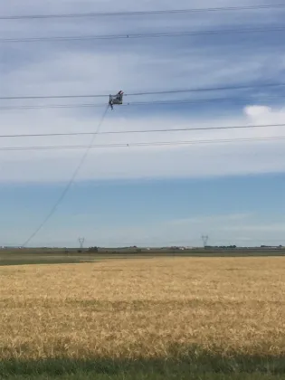 Eight Bundle Conductors Line Cart