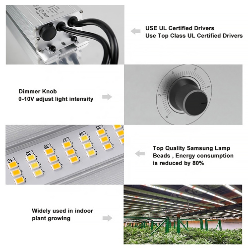 Luz de cultivo de invernadero de 800W de cultivo