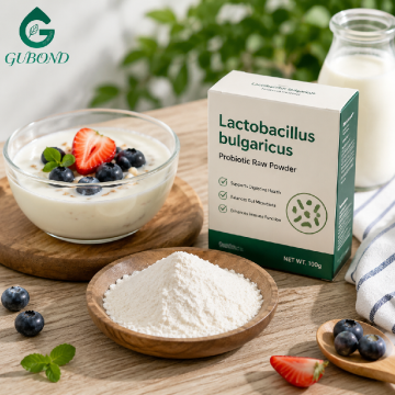 مسحوق Lactobacillus Bulgaricus عالي الفعالية