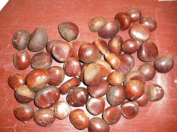 loose packaging fresh chestnut