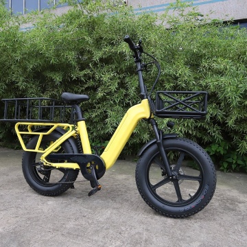 Elektrische fiets voor al het terrein: 20 \ "250W 36V/48V Gravel Mountain Ebike met vrachtfunctie en dikke band