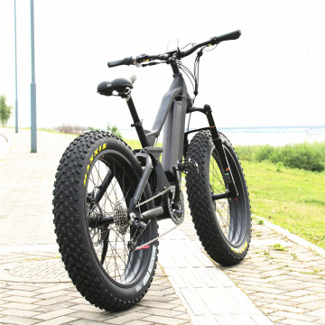 Hot selling BAFANG mid motor 1000w fat ebike