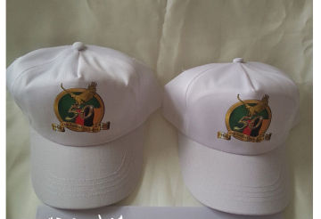 5 panels cap promotion cap cheap baseball caps and Blank caps with sublimation LOGO