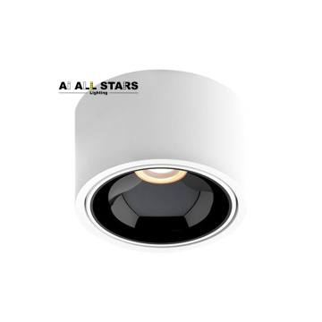 VENDA DE VENDA EUROPE ROUNTE SUPERFÍCULA MONTAGEM DE ALUMINA LED DE ENFLAÇÃO