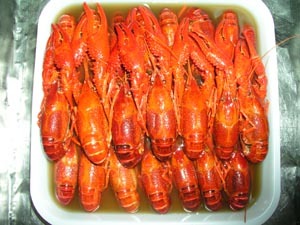 Frozen Crawfish Tail Meat, Farmed Crawfish