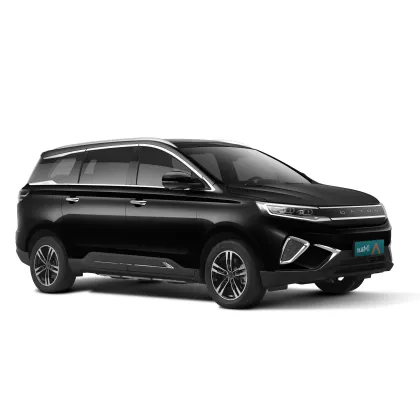 2023 Dayun Brand New Energy Electric Vehicle