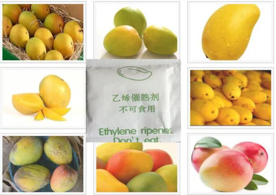 Good Price Ethylene/Ethylene Ripener for alphonso mango price/Banana./Ethephon/Fruit Ripener