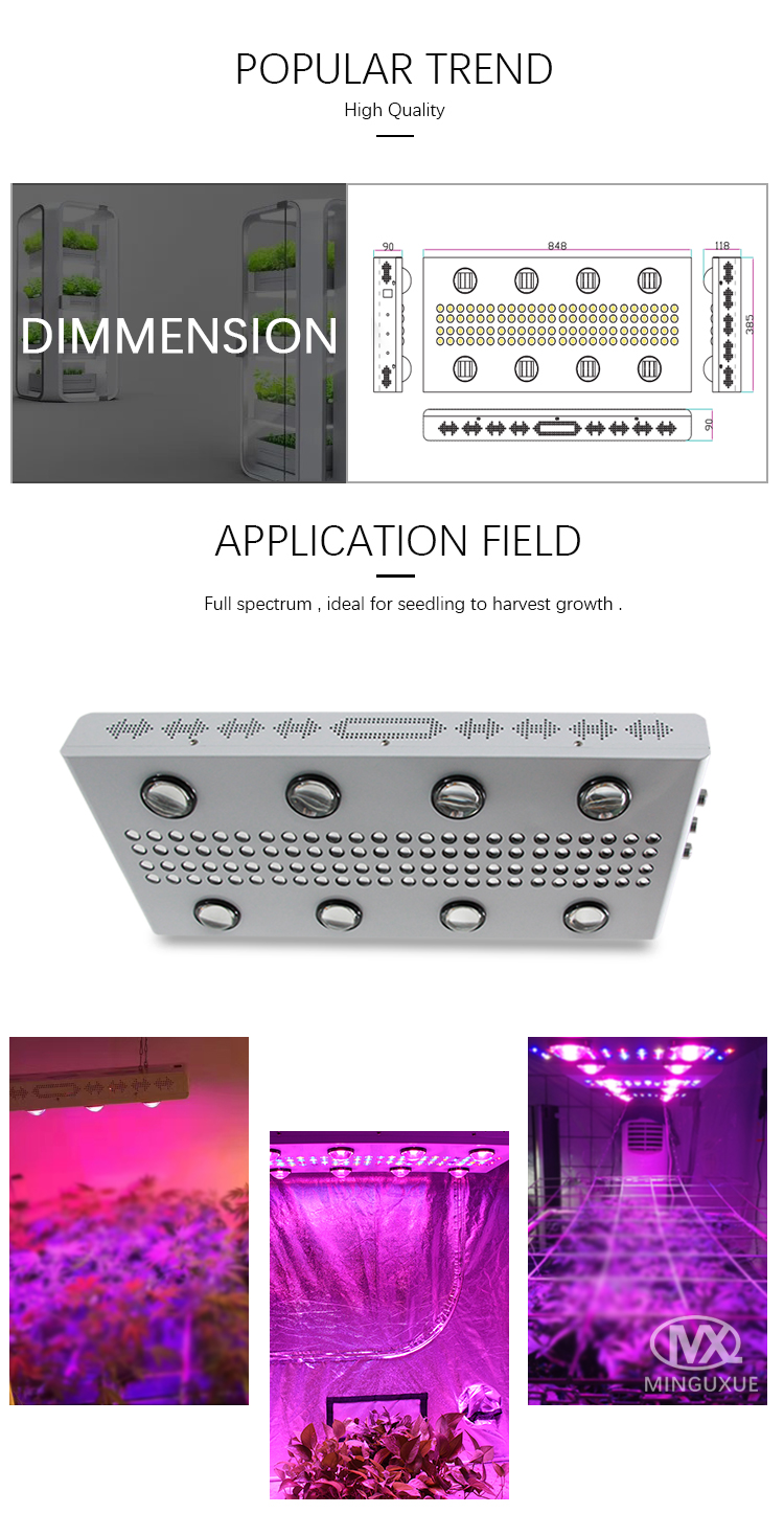 led plant lights grow led plant lights grow