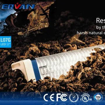 Resistance various harsh natural environment IP66 LED Tunnel Light