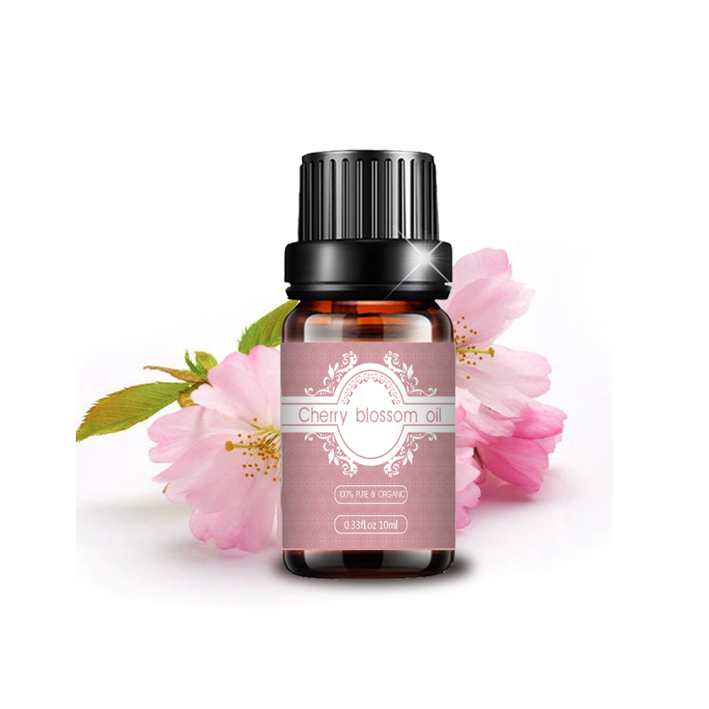 Bulk Price Cherry Blossoms Oil 100% pure natural