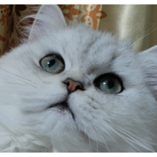  chanpin fabu tishi tanchaung ceshi Manufactory