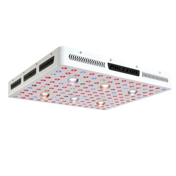 Nueva tecnología de invernadero LED Grow Lights