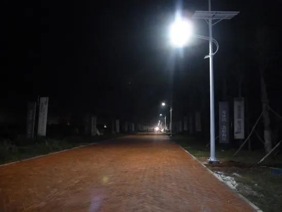 Waterproof Hybrid Off Grid 100w Solar Wind Street Lights For Outdoor Picnic, Roads