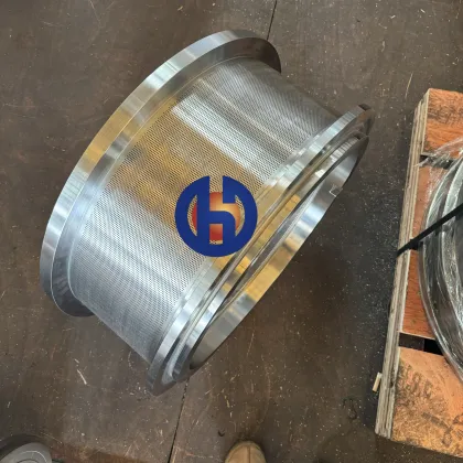 China Liyang Factory Hot Selling OGM Pellet Machine Ring Die for Andritz Pellet Mill