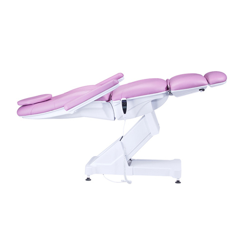 Purple color salon electric facial bed TS-2158