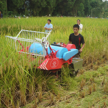 Low Oil Consumption Diesel Engine Mini Grain Combine Harvester
