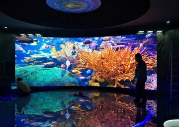 High Gray Scale Indoor Curved LED Display
