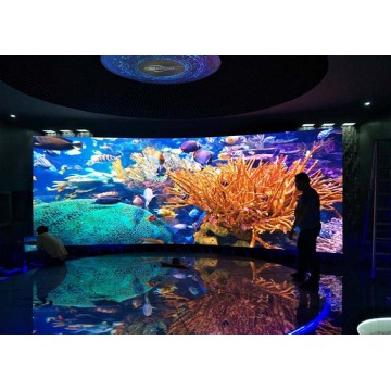 High Gray Scale Indoor Curved LED Display