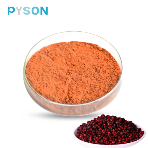 schisandra berry extract powder