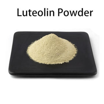 Supplements High Purity Cosmetic Grade 98% Luteolin Powder