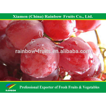 Fresh fruit of Chinese Fresh Red Globe Grape