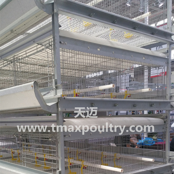 Kanatlı Hayvan Yetiştiriciliği için Broiler Kafes Sistemi